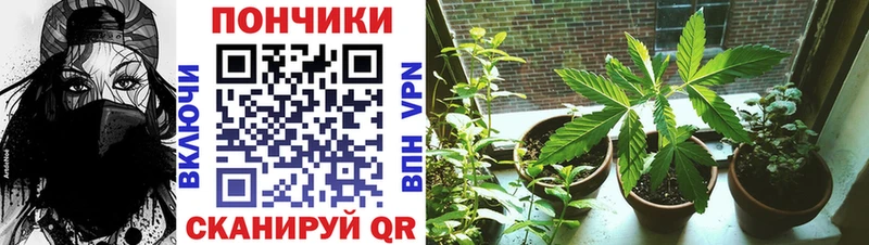 Каннабис тримм  закладка  Кемь 